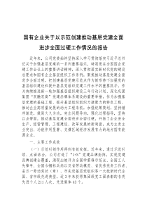 国有企业关于以示范创建推动基层党建全面进步全面过硬工作情况的报告