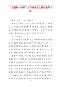 “双随机一公开”工作总结范文报告集聚3篇