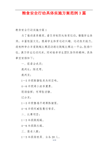 粮食安全行动具体实施方案范例3篇