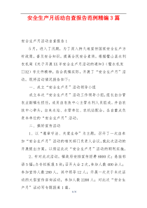 安全生产月活动自查报告范例精编3篇