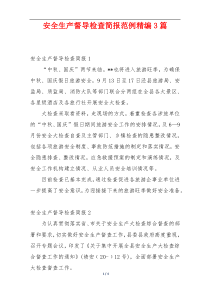 安全生产督导检查简报范例精编3篇