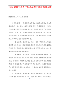 2024新员工个人工作总结范文范例通用4篇
