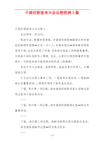 干部任职宣布大会议程范例3篇