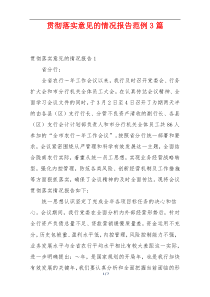 贯彻落实意见的情况报告范例3篇