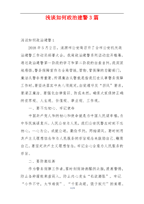 浅谈如何政治建警3篇