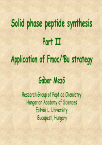 多肽合成工艺流程(英文版)