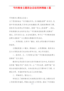 节约粮食主题班会总结范例精编3篇
