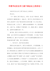 市委书记在全市三级干部会议上的讲话1