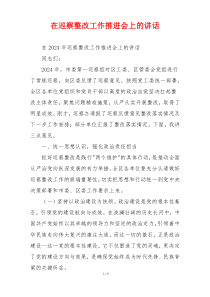 在巡察整改工作推进会上的讲话