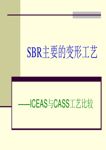 CASS与ICEAS工艺比较