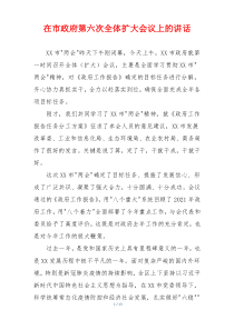 (参考)在市政府第六次全体扩大会议上的讲话