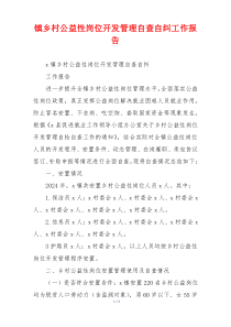 镇乡村公益性岗位开发管理自查自纠工作报告