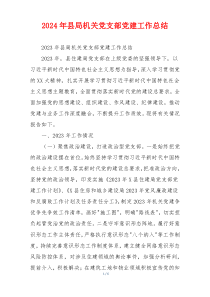 2024年县局机关党支部党建工作总结