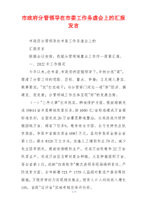 市政府分管领导在市委工作务虚会上的汇报发言