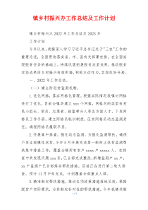 镇乡村振兴办工作总结及工作计划