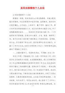 某局实践锻炼个人总结