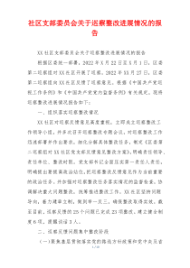 社区支部委员会关于巡察整改进展情况的报告