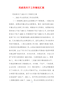 民政局关于工作情况汇报