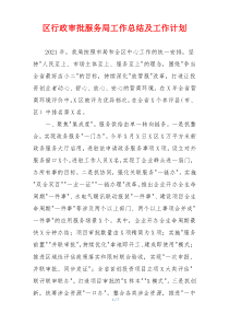 区行政审批服务局工作总结及工作计划