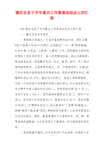 镇在全县下半年重点工作督查总结会上的汇报