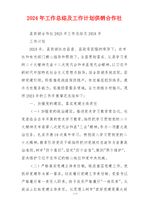 2024年工作总结及工作计划供销合作社