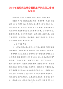 2024年度组织生活会暨民主评议党员工作情况报告