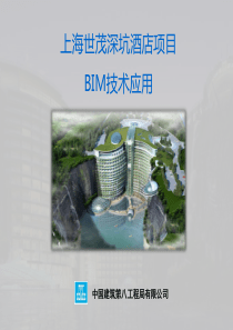 08_深坑酒店BIM_技术成果（PDF33页）