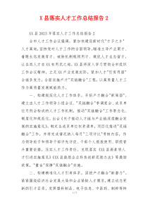 X县落实人才工作总结报告2