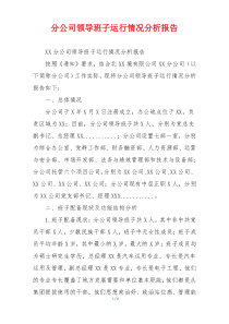 分公司领导班子运行情况分析报告