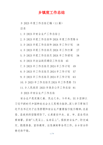 乡镇度工作总结