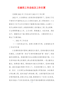 住建局工作总结及工作打算