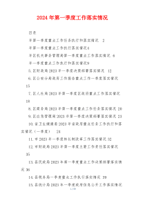2024年第一季度工作落实情况