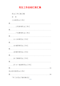 民生工作总结汇报汇集
