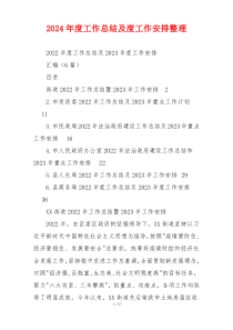 2024年度工作总结及度工作安排整理