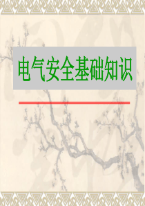 电气安全知识课件