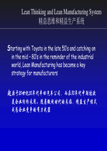 精益思维和精益生产系统（PPT 100页）