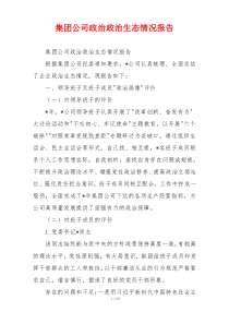 集团公司政治政治生态情况报告