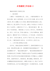 乡党建度工作总结 2