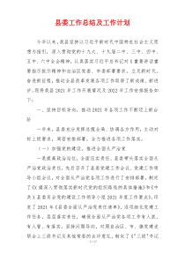 县委工作总结及工作计划