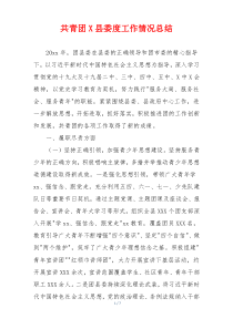 共青团X县委度工作情况总结