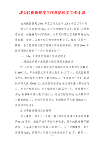 坡头区医保局度工作总结和度工作计划