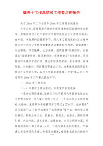 镇关于工作总结和工作要点的报告