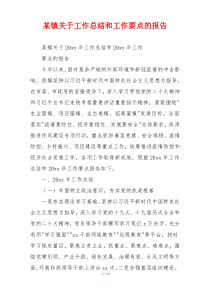 某镇关于工作总结和工作要点的报告