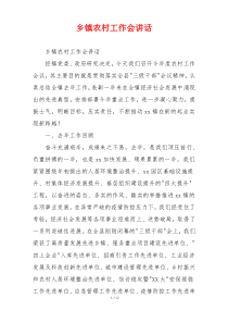 乡镇农村工作会讲话