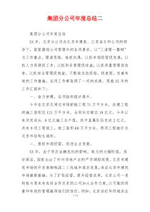 集团分公司年度总结二