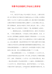 市委书记在组织工作会议上的讲话