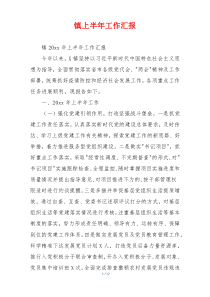 镇上半年工作汇报