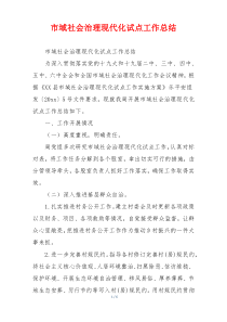 市域社会治理现代化试点工作总结