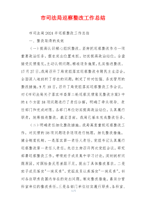 市司法局巡察整改工作总结