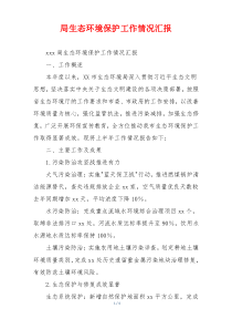 局生态环境保护工作情况汇报